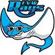 Fairview Rays Logo